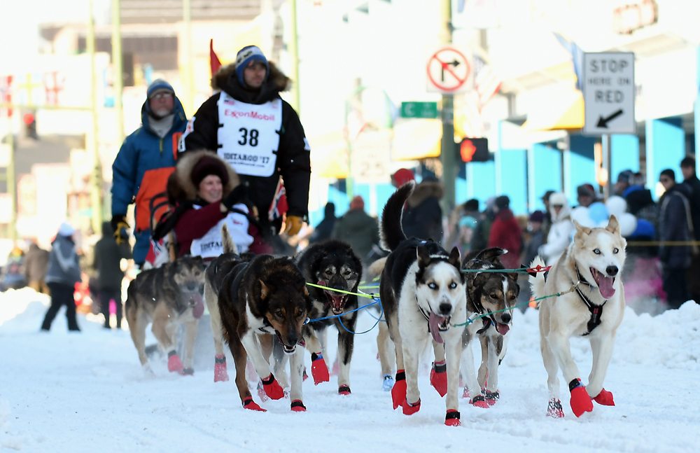 Norwegian musher wins Iditarod News, Sports, Jobs Adirondack Daily